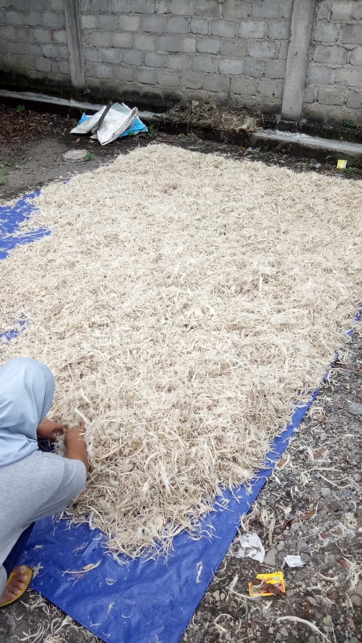 Pabrik Bulu Bebek